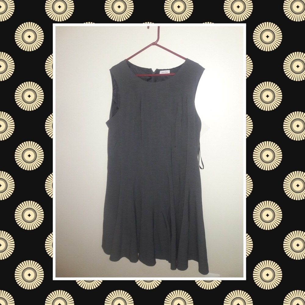 Calvin Klein Professional Dress